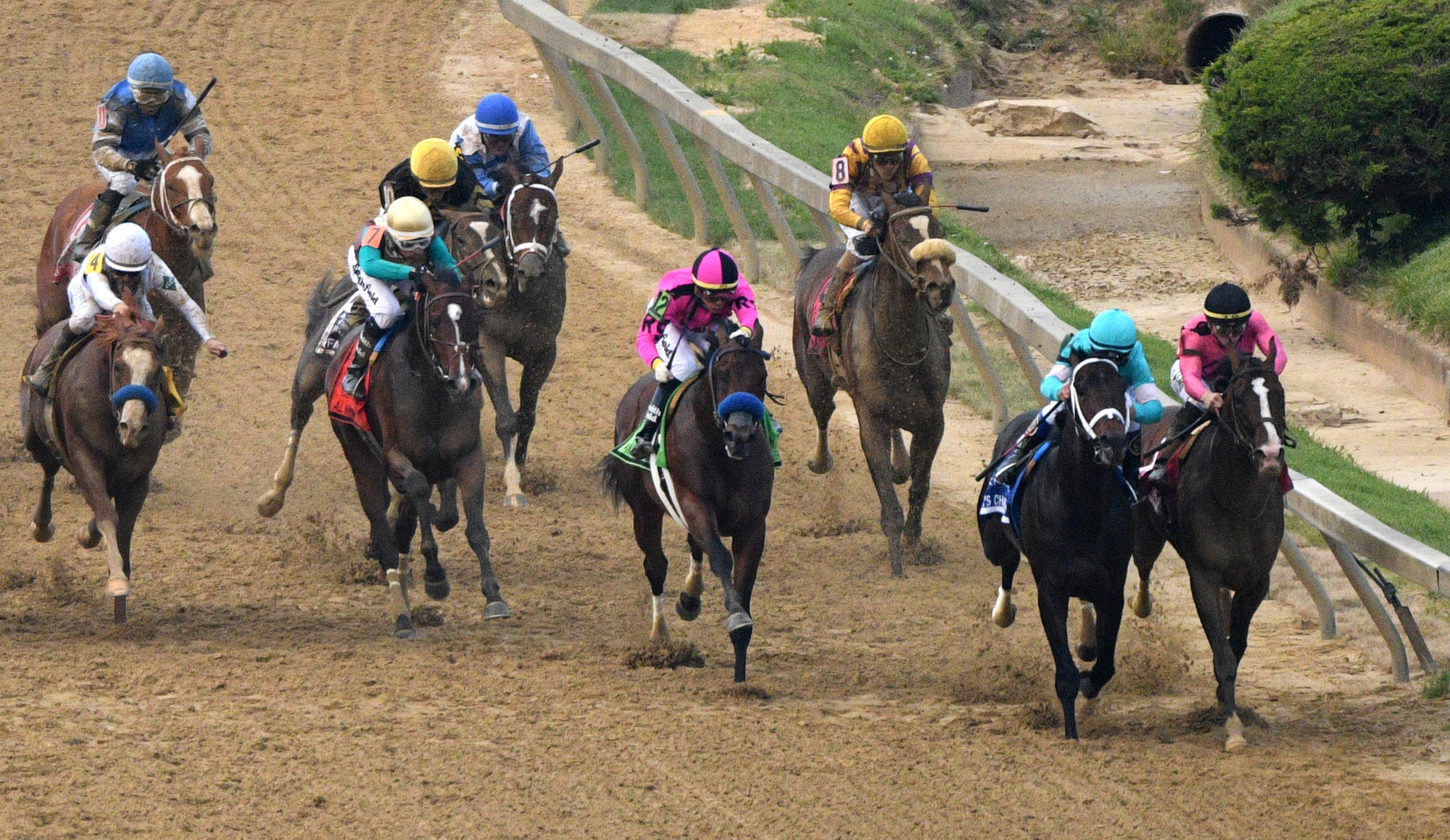 Full results, payouts from 2019 Preakness Day at Pimlico Race Course