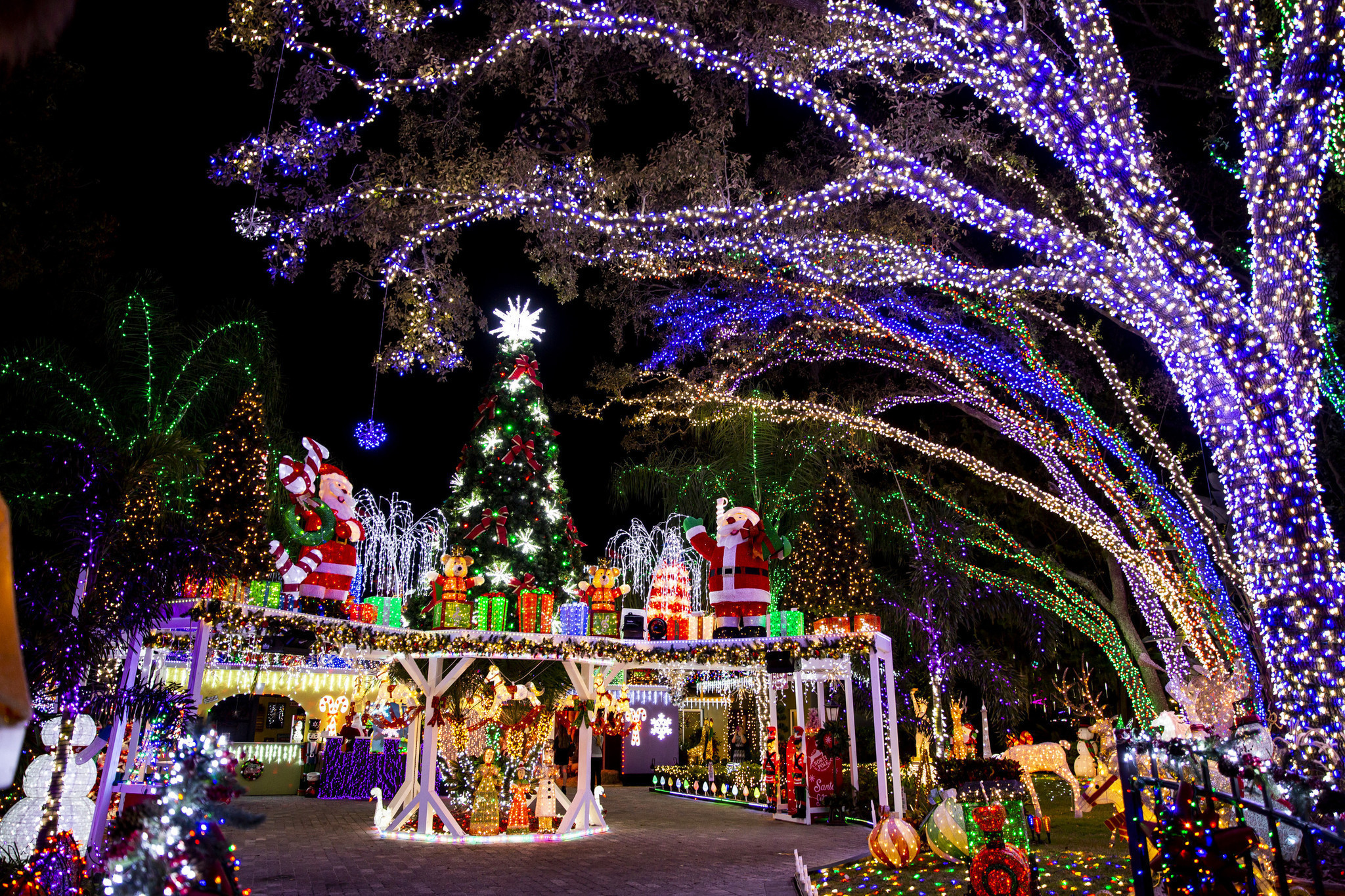 How to celebrate this holiday season in Savannah